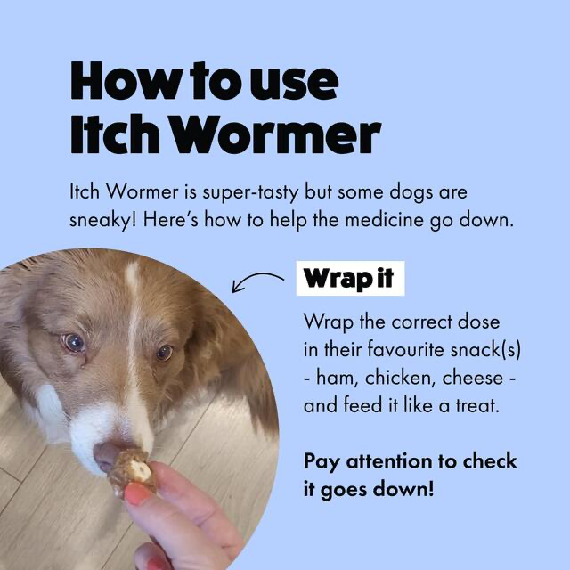 Itch - Wormer - worming tablets x 2 image 3