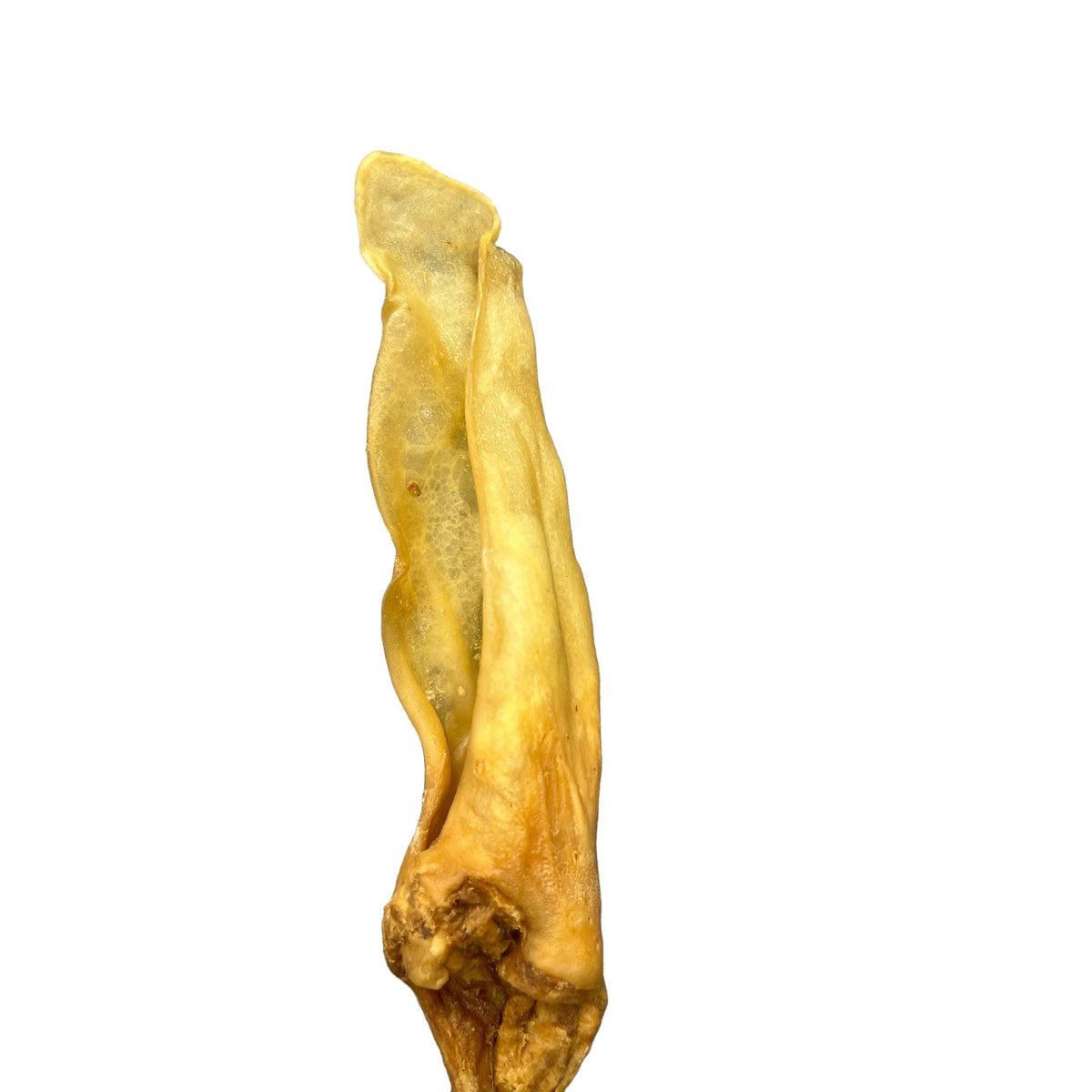 Goat Ear Single image 0