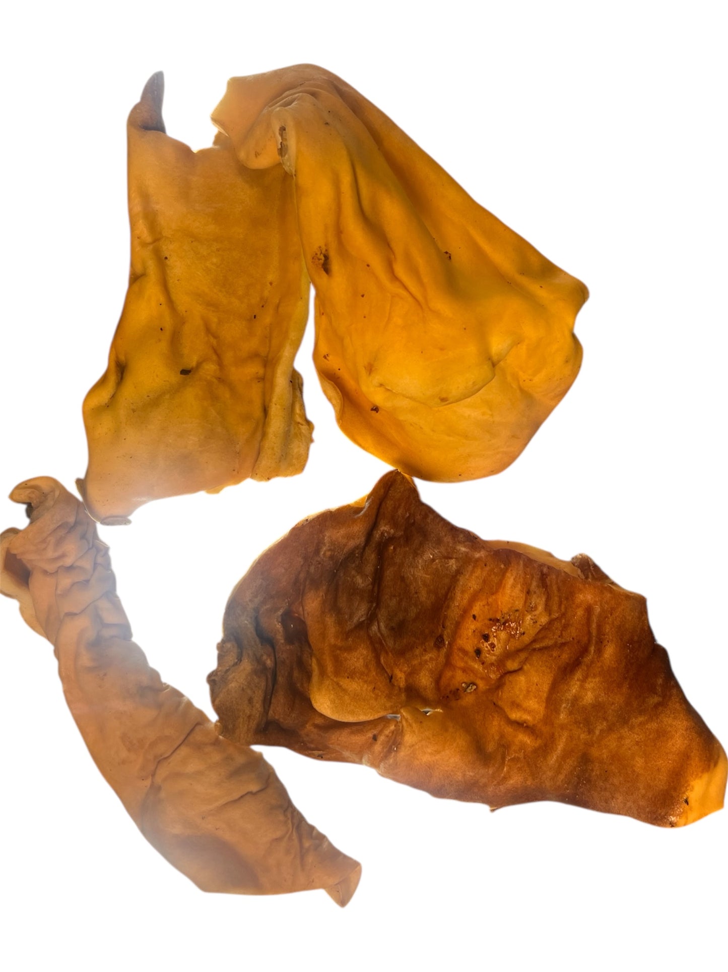 Pippers Pantry Beef Skin Plate - 5 Pieces image 0