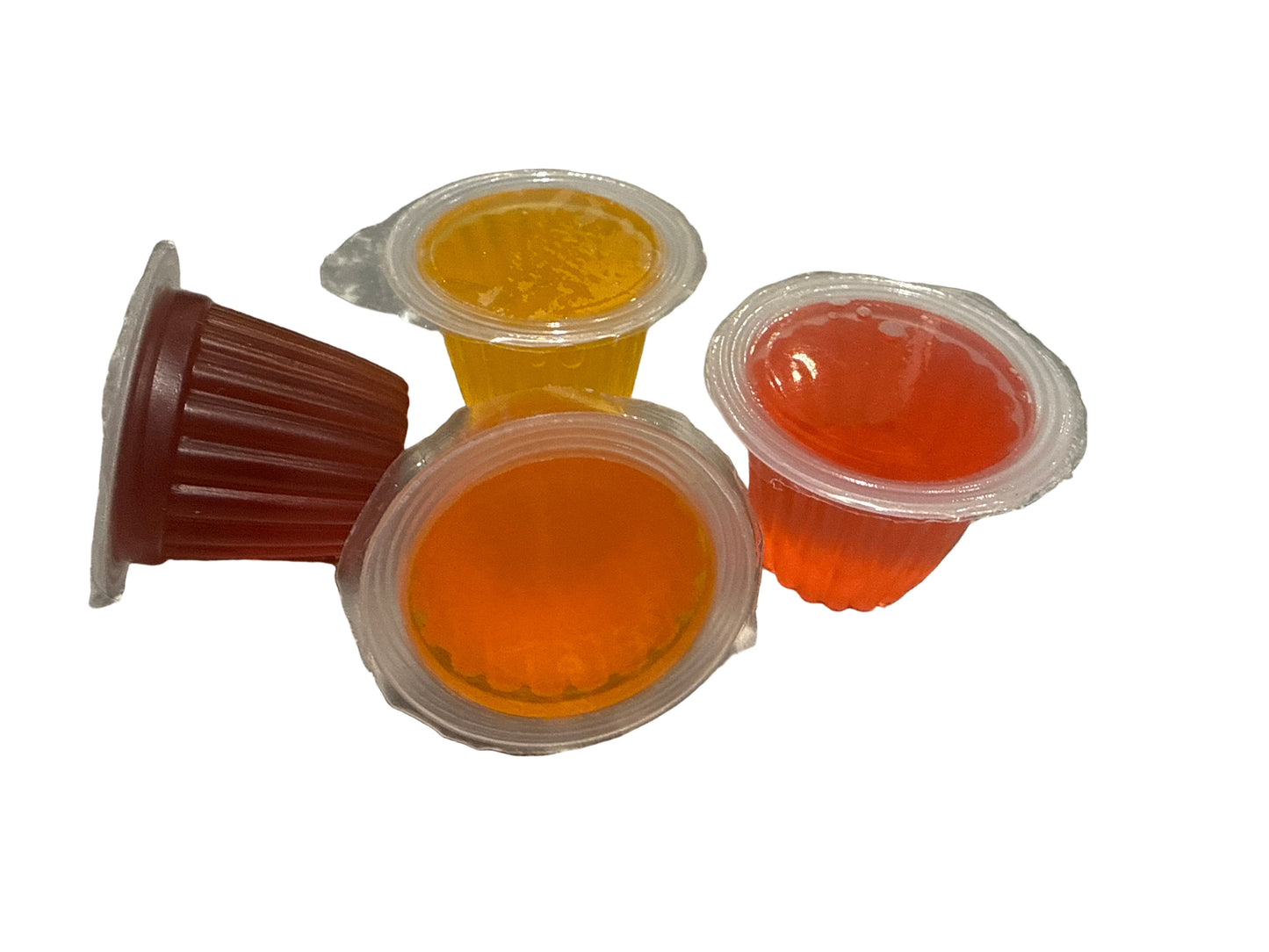 Fruit Jelly Pot for Birds & Reptiles