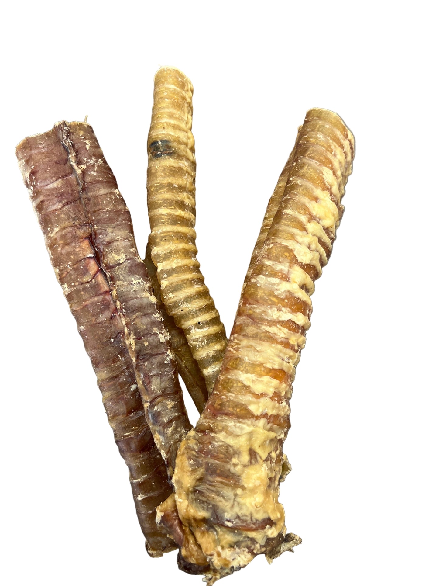 Buffalo Trachea - 15cm-25cm Medium image 0