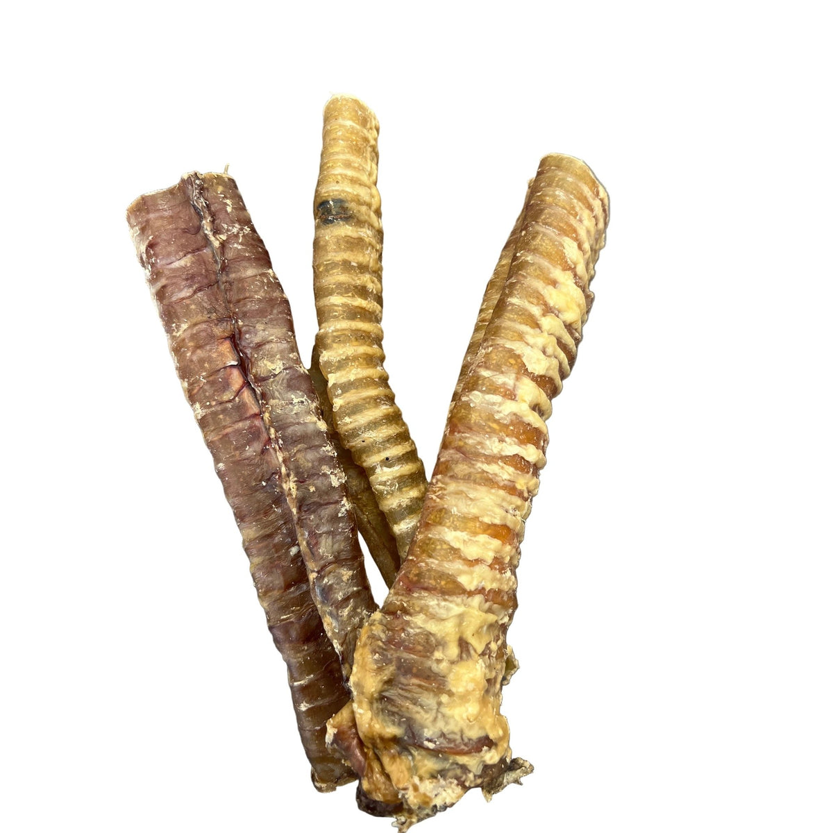 Buffalo Trachea - 15cm-25cm Medium image 0