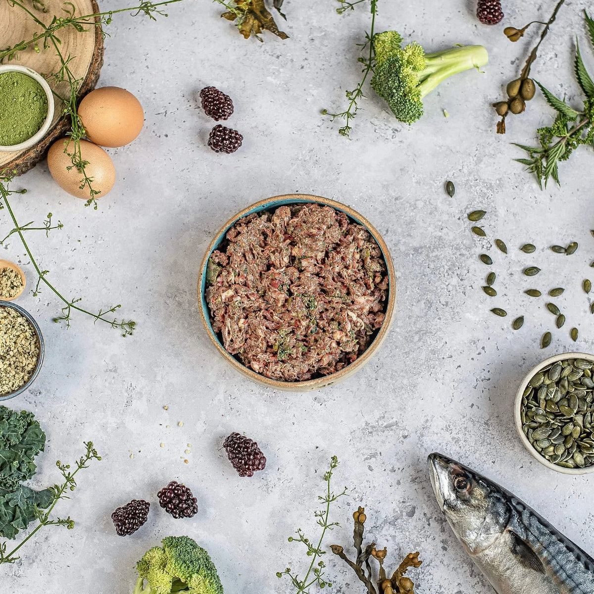 Naturaw Forage Raw Dog Food 500g – available from Woofingtons