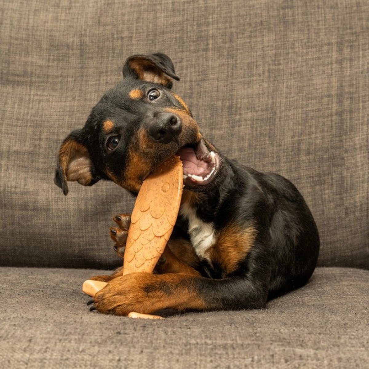 Bamboodles Fish Chew - Puppy and Moderate Chewers – product image 3 from Woofingtons