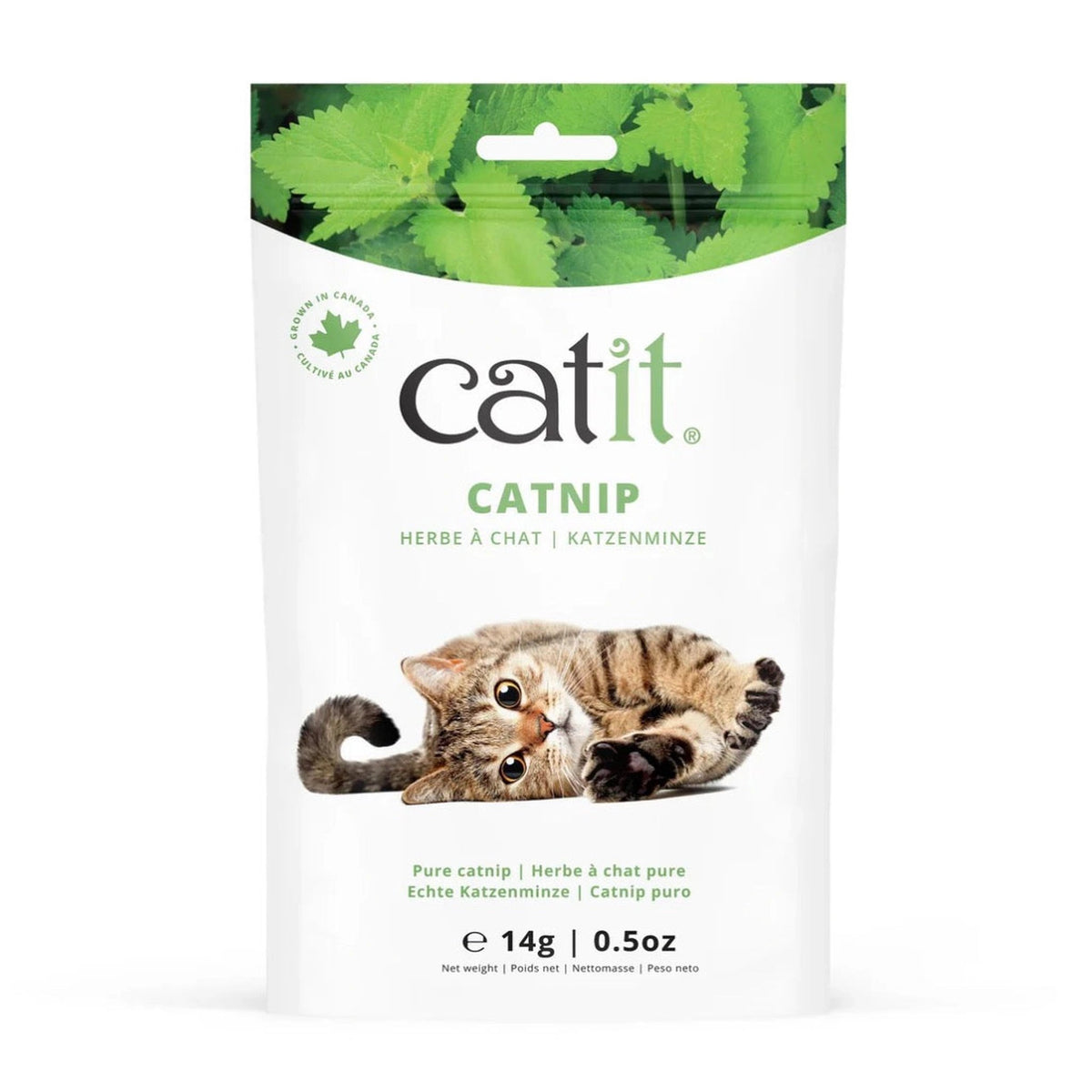 Catit Catnip Bag – available from Woofingtons
