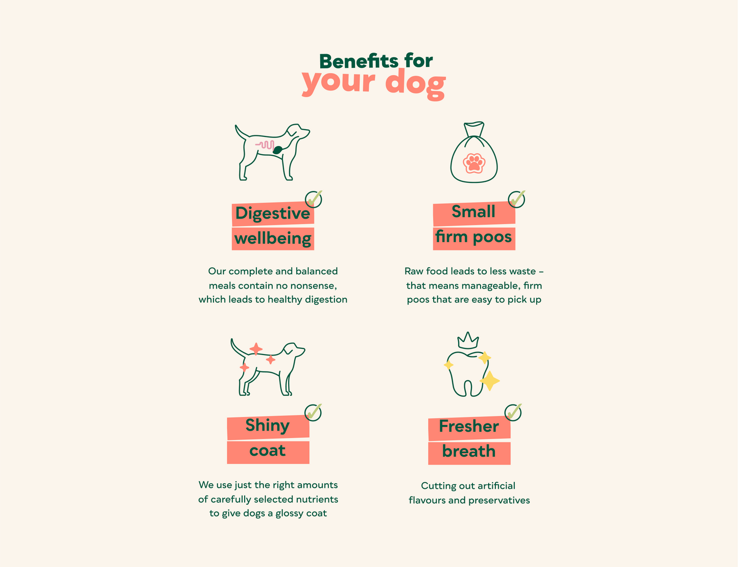 Natures menu nuggets - raw dog food frozen 1kg (local delivery only) image 2