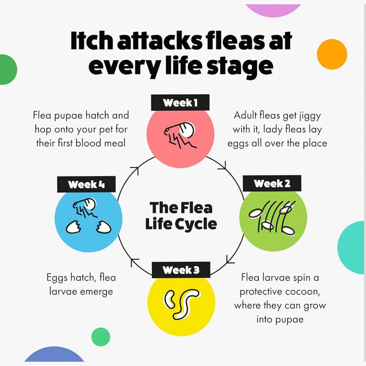 Itch - flea and tick spot on x 3 image 5