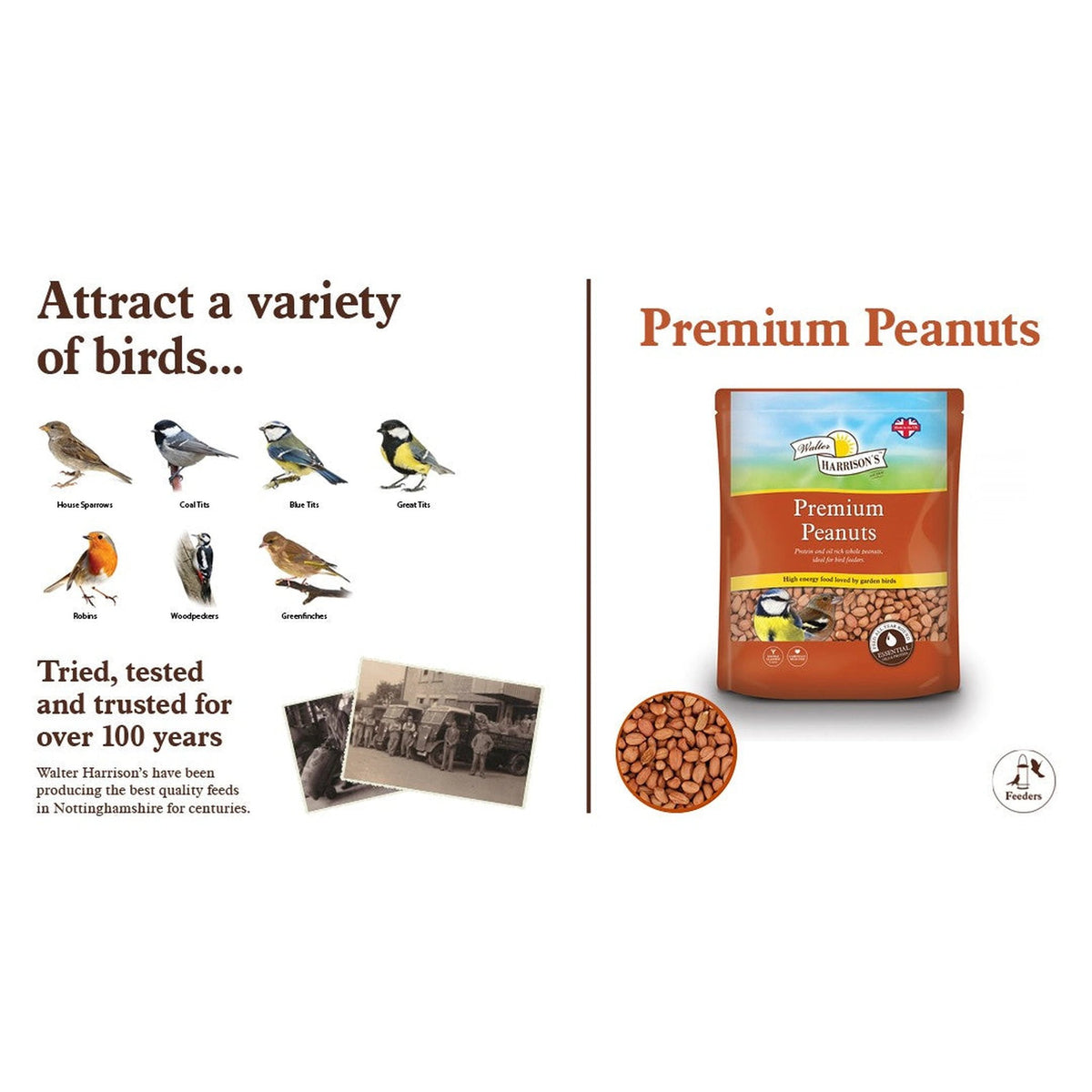 Harrisons Premier Peanuts 2kg – High Energy Bird Food for Garden Birds – product image 4 from Woofingtons