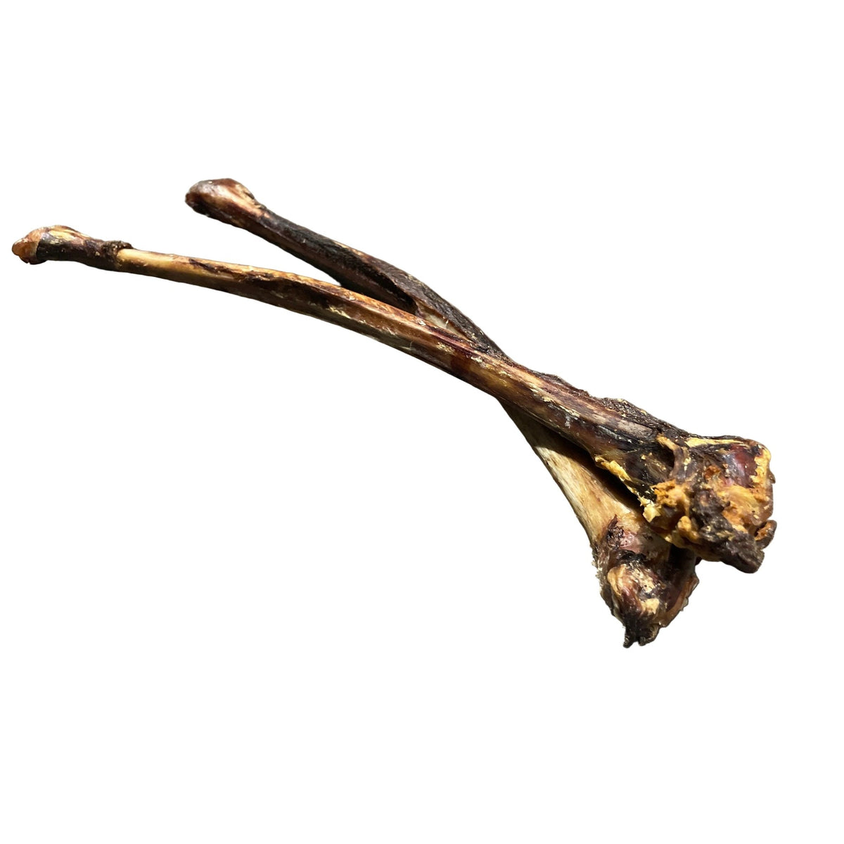 Ostrich wing bone – available from Woofingtons