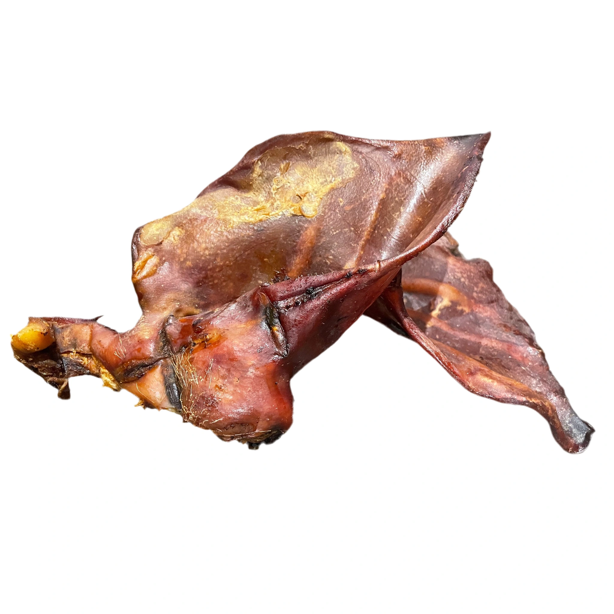 Pig Ear Sow - XL – available from Woofingtons