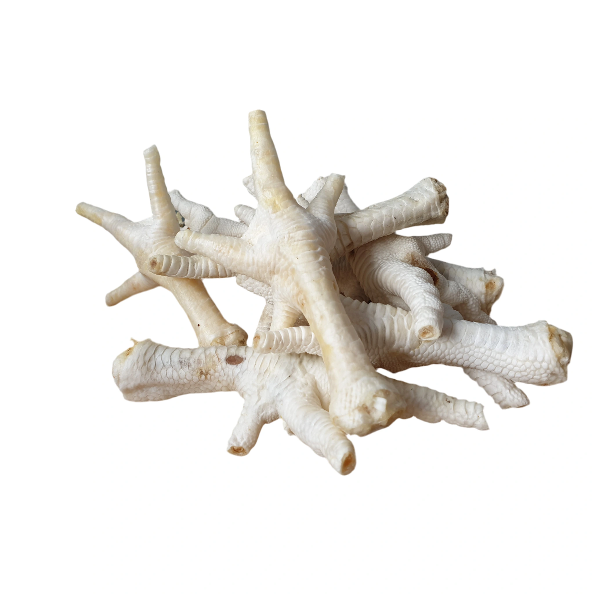 Puffed Chicken Feet – available from Woofingtons