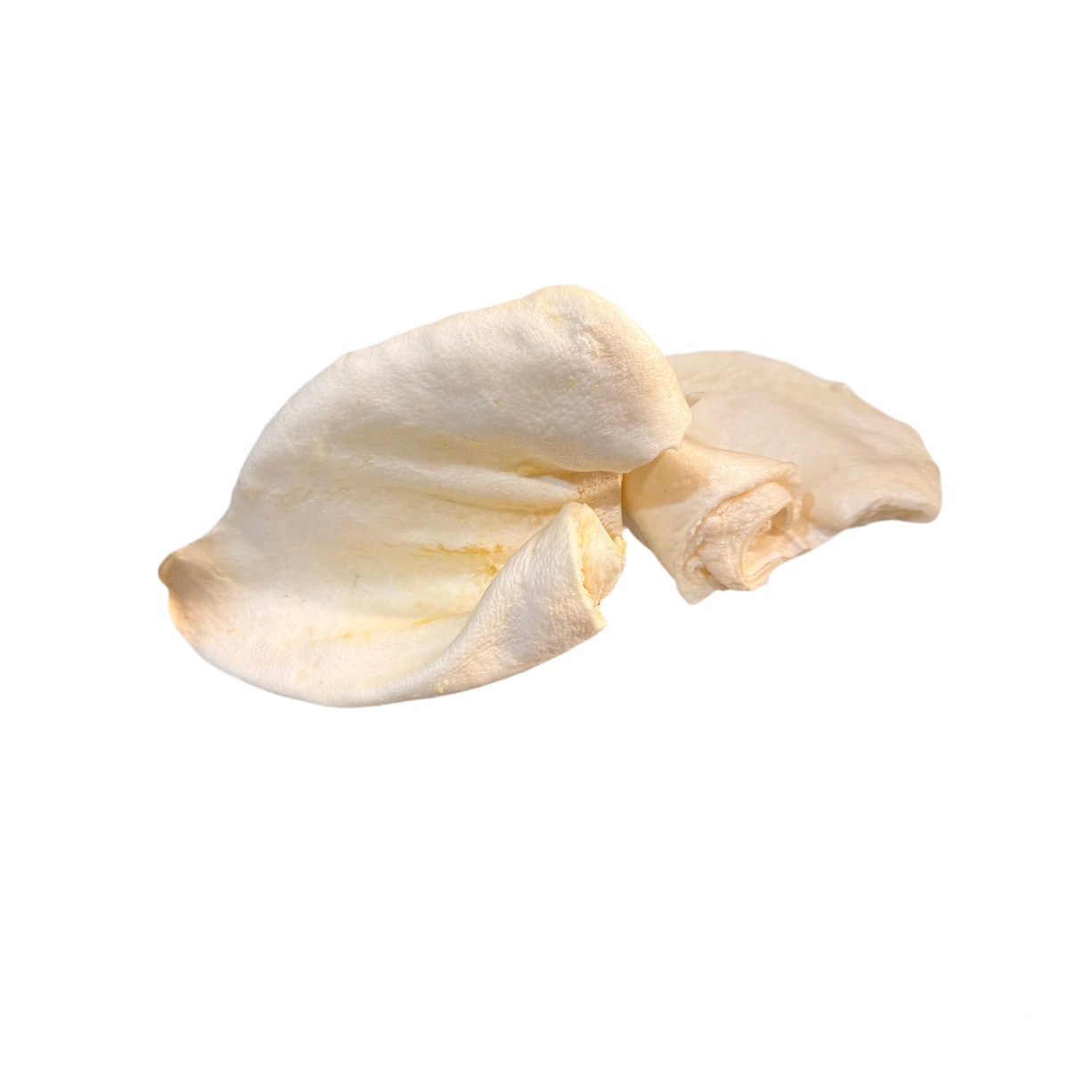 Puffed Pig Ear - Large – available from Woofingtons