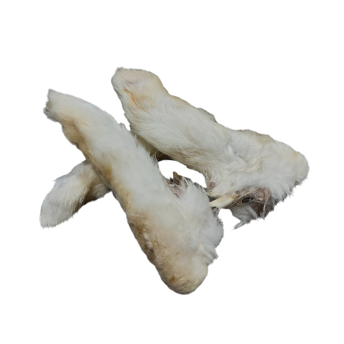 Rabbit Feet with Fur – available from Woofingtons