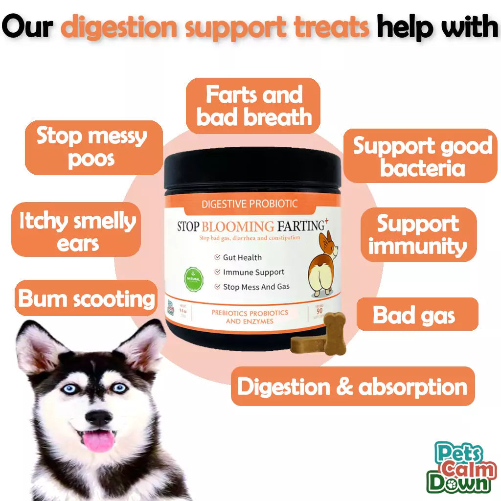 Stop Blooming Farting Digestive Support Pork Chews – product image 4 from Woofingtons