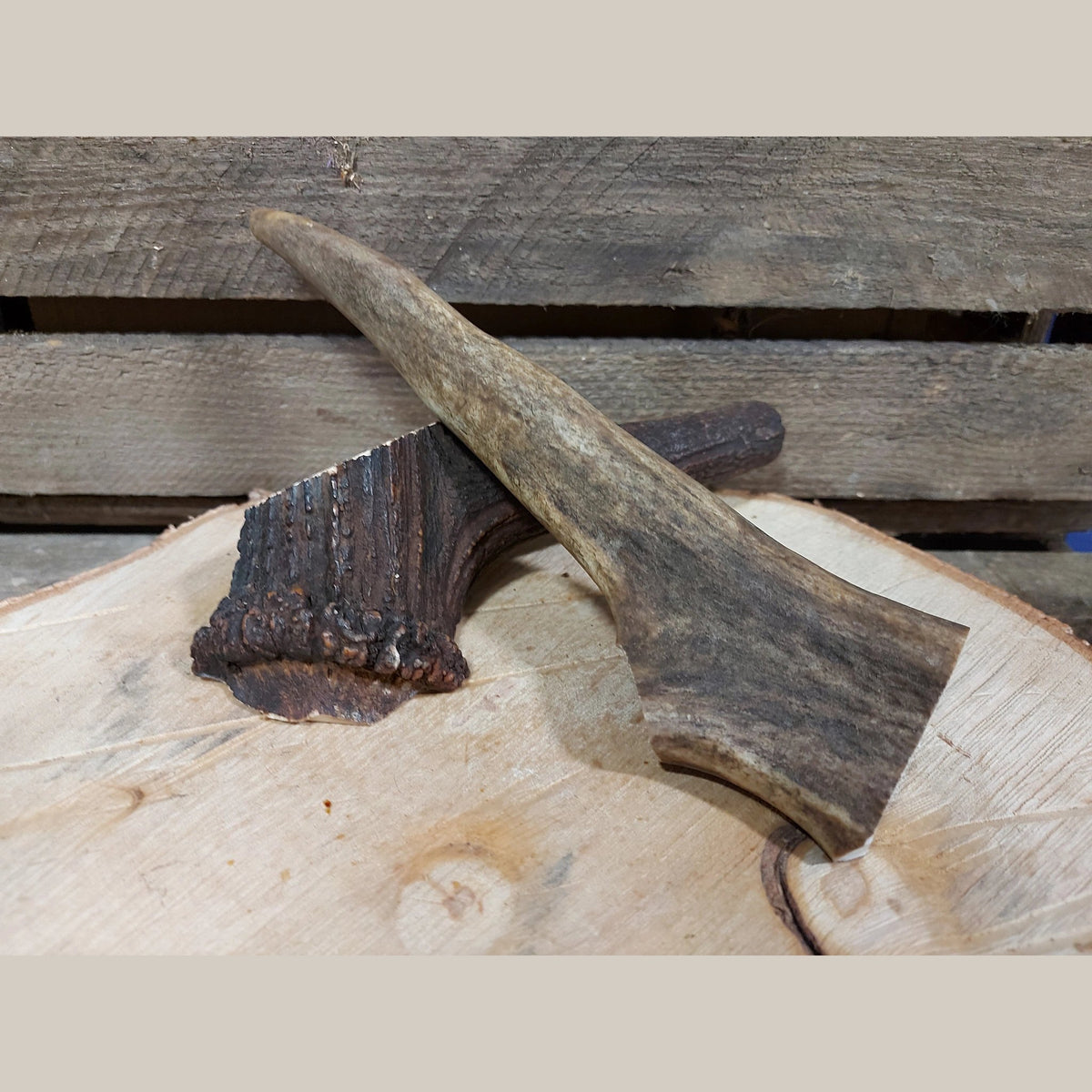 Whole Antler Chew – product image 2 from Woofingtons