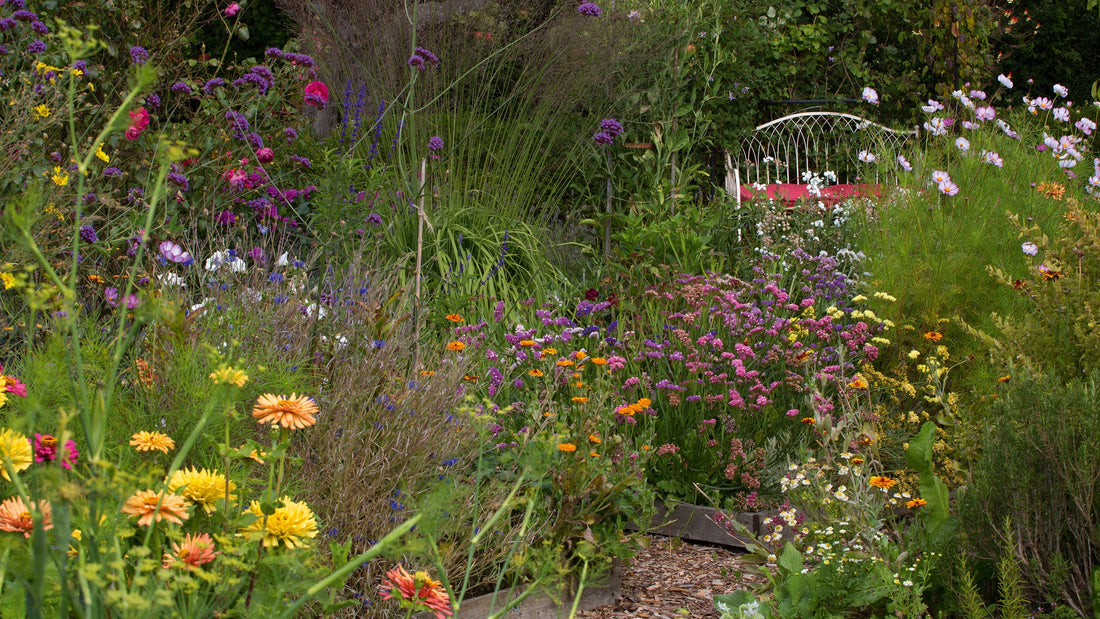 Wildlife visiting a British garden