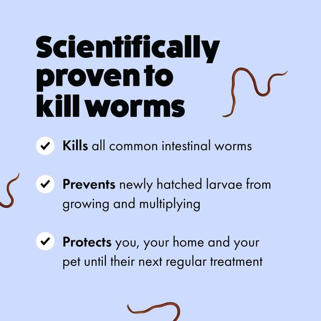 Itch - Wormer - worming tablets x 2 image 2