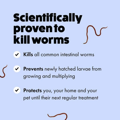 Itch - Wormer - worming tablets x 2 image 2