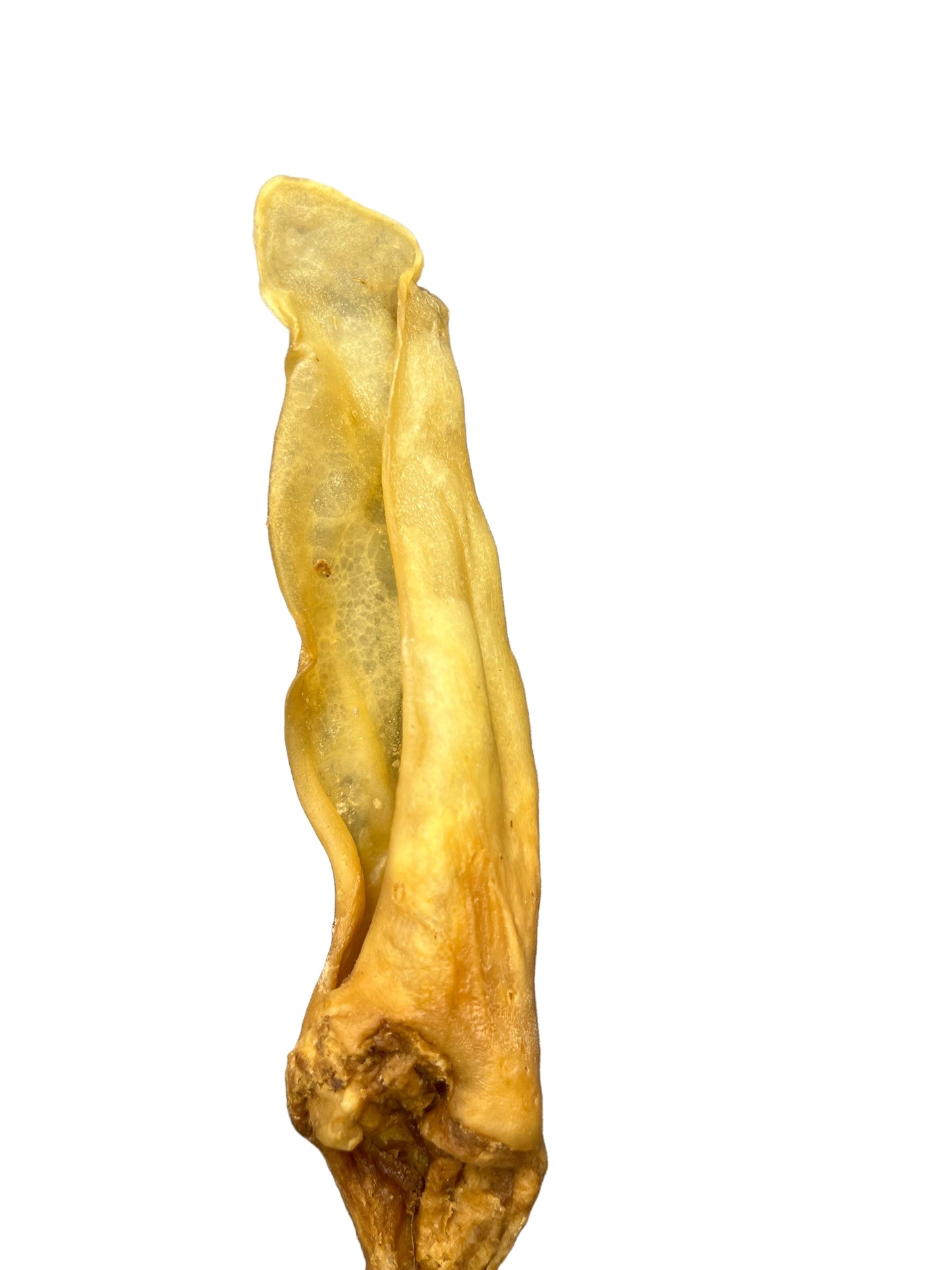 Goat Ear Single image 0