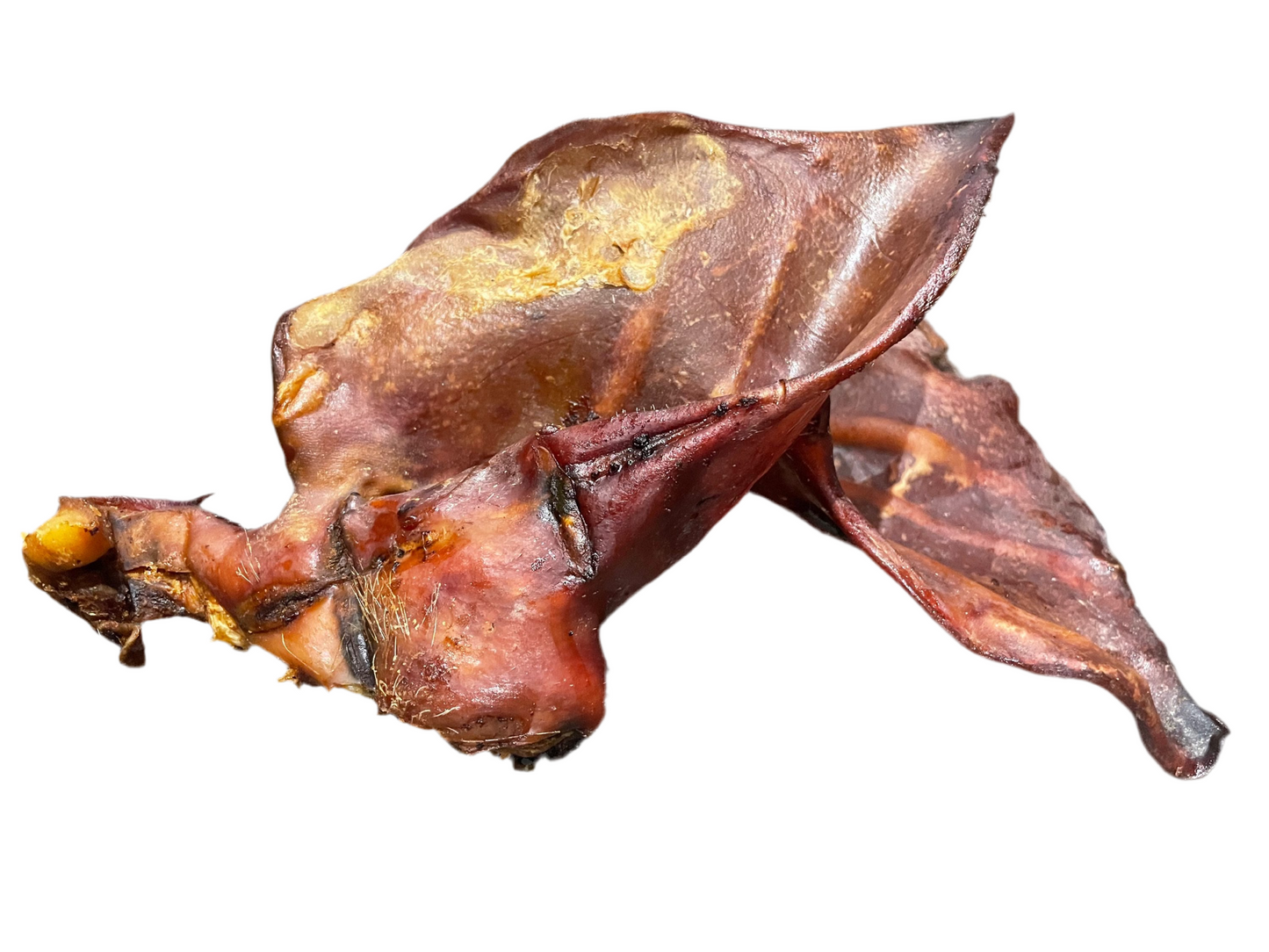 Pig Ear Sow - XL