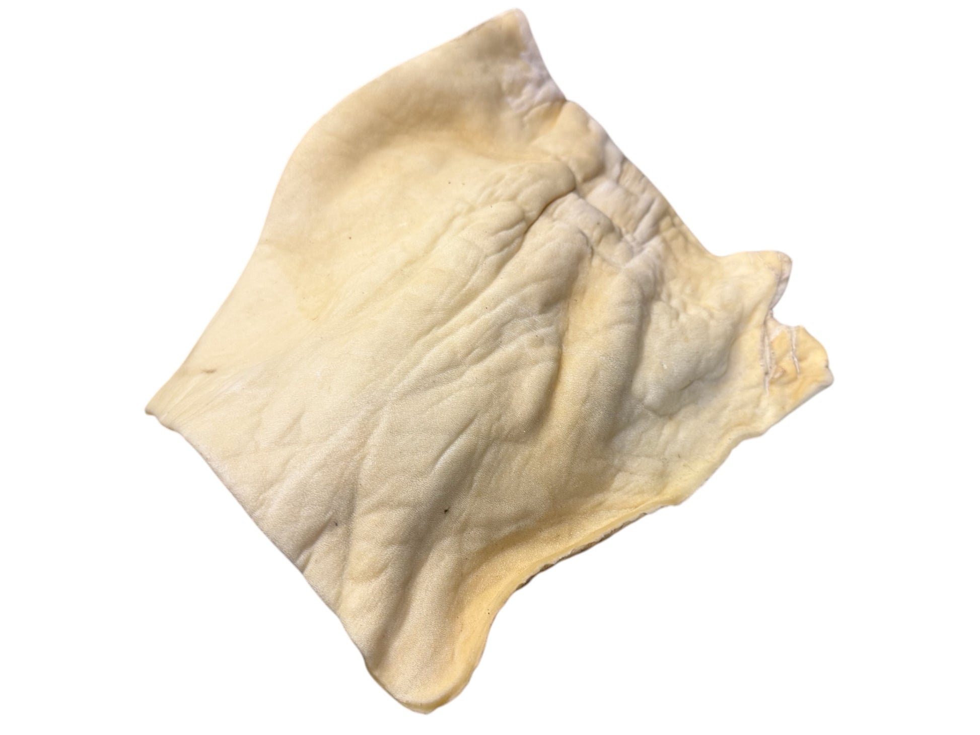 Buffalo Skin Plate large  image 0