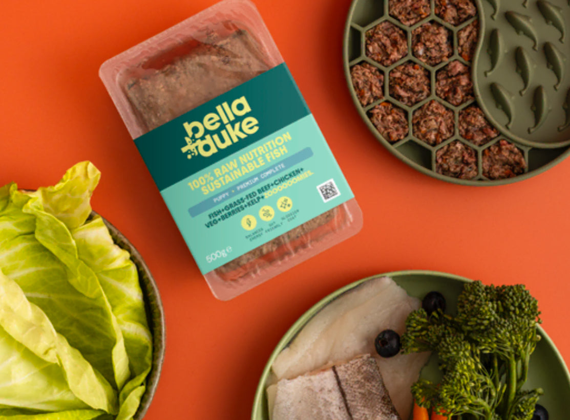 Bella & Duke - Puppy - 500g - Raw Dog Food  image 0