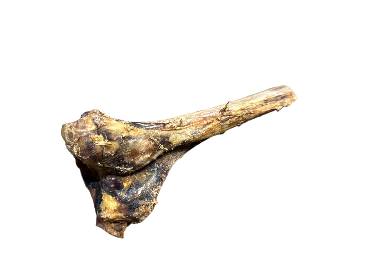 Ostrich Marrow Shank