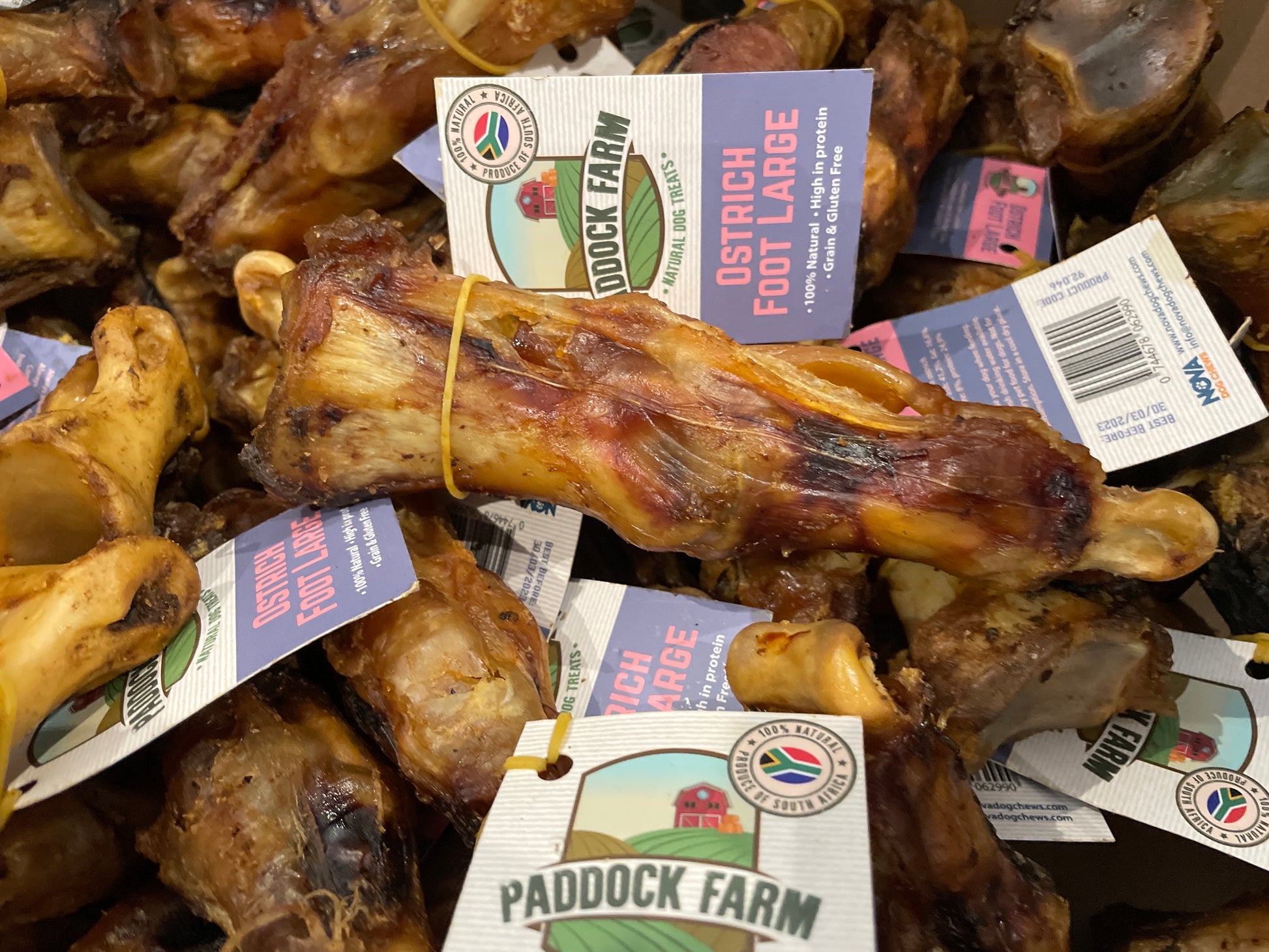 Ostrich Foot image 0