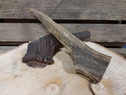 Whole Antler Chew  image 1