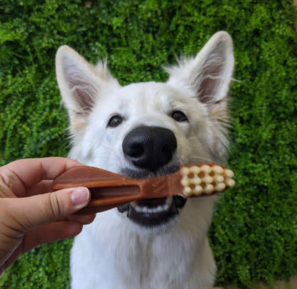 Whimzees - Toothbrush image 1