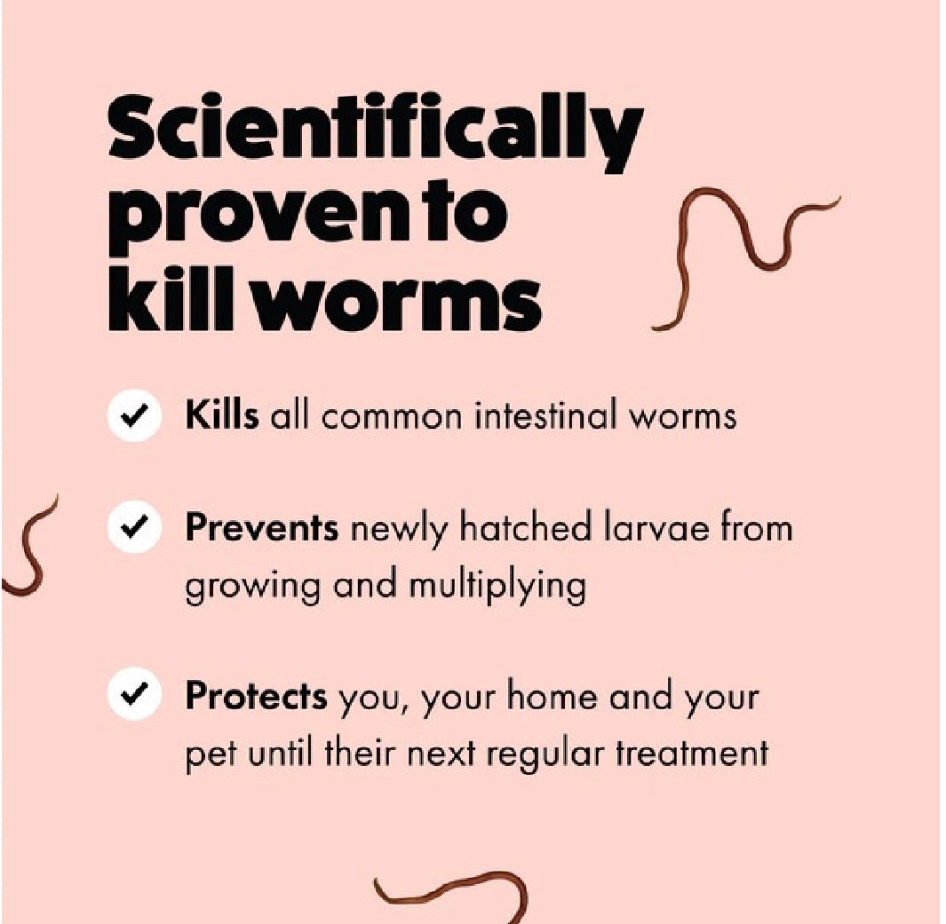 Itch Wormer Tablets for Cats
2 pack