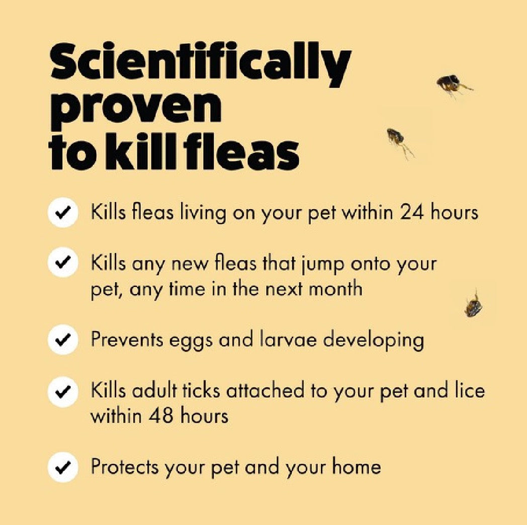 Itch Flea Spot On for Cats 3
Pipettes