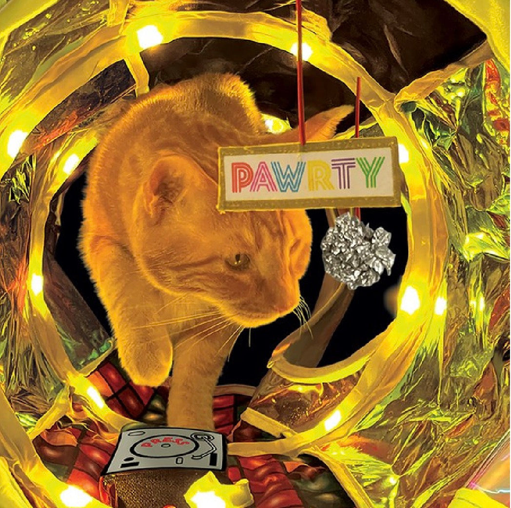 Kong Play Space Large Cat Tunnel