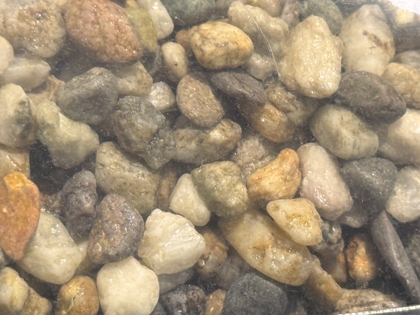 Roman Aquatic Gravel Natural 2kg (Natural Lakeland)