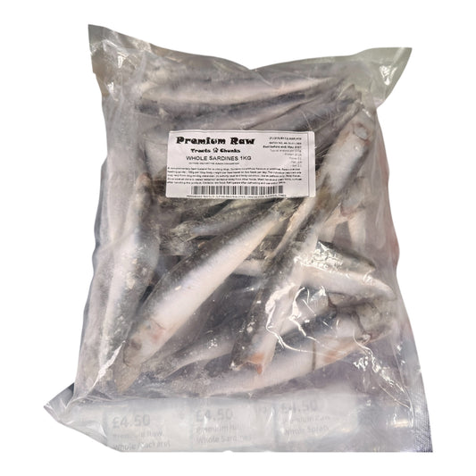 Frozen Sardines fish - Raw