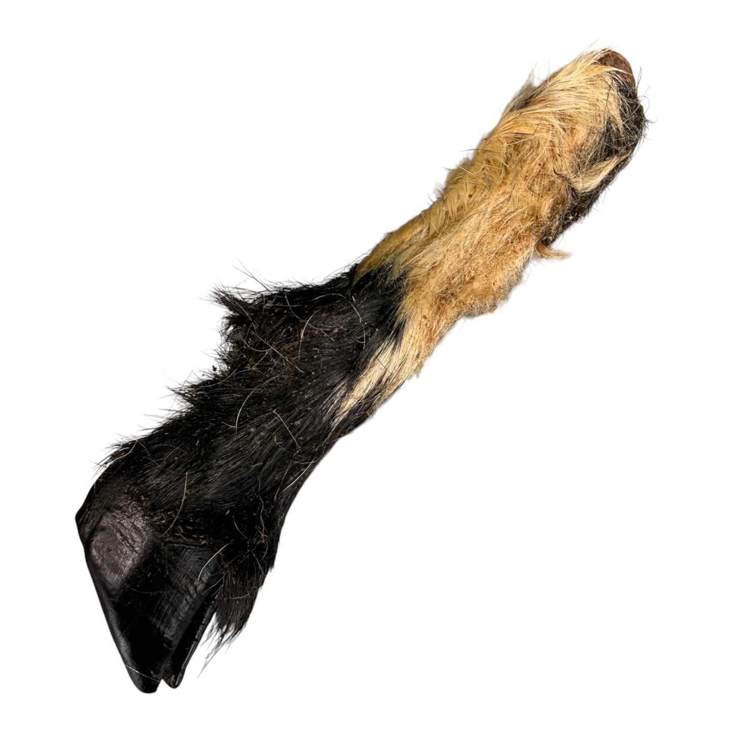 Anco Hairy Lamb Trotters | Natural Hairy Dog Chew