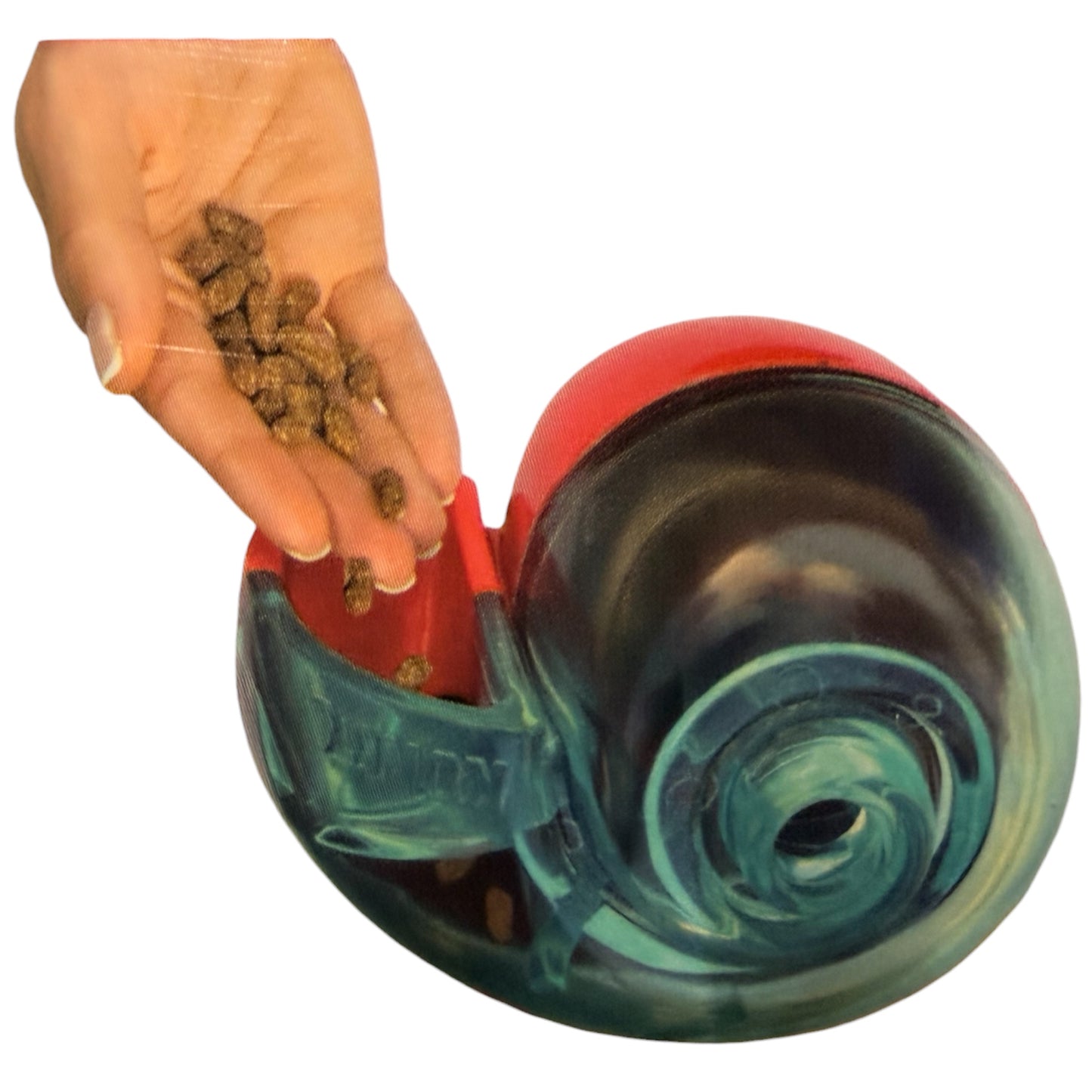 KONG Rewards Shell – Small