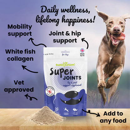 Super Natural - Super Joints Hip & Joint Support Supplement for Dogs 150g