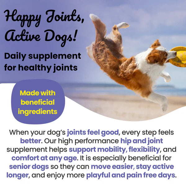 Super Natural - Super Joints Hip & Joint Support Supplement for Dogs 150g