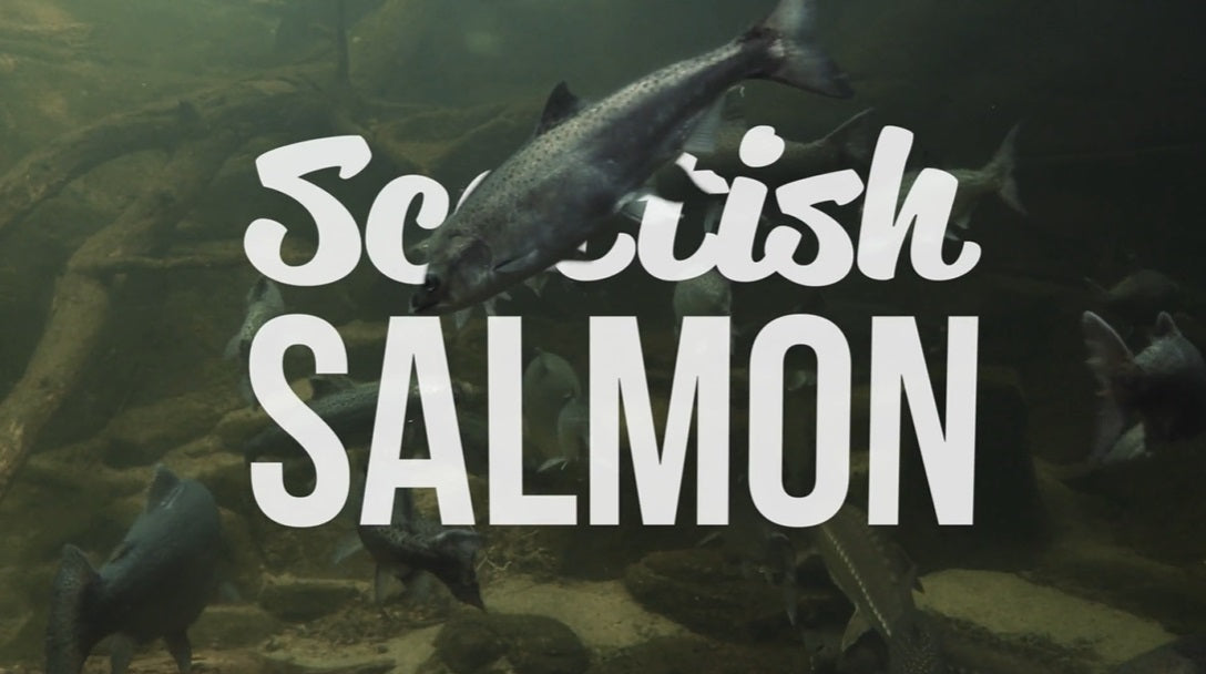 Meadow Farm - Puppy Super Blend Grain Free image 3