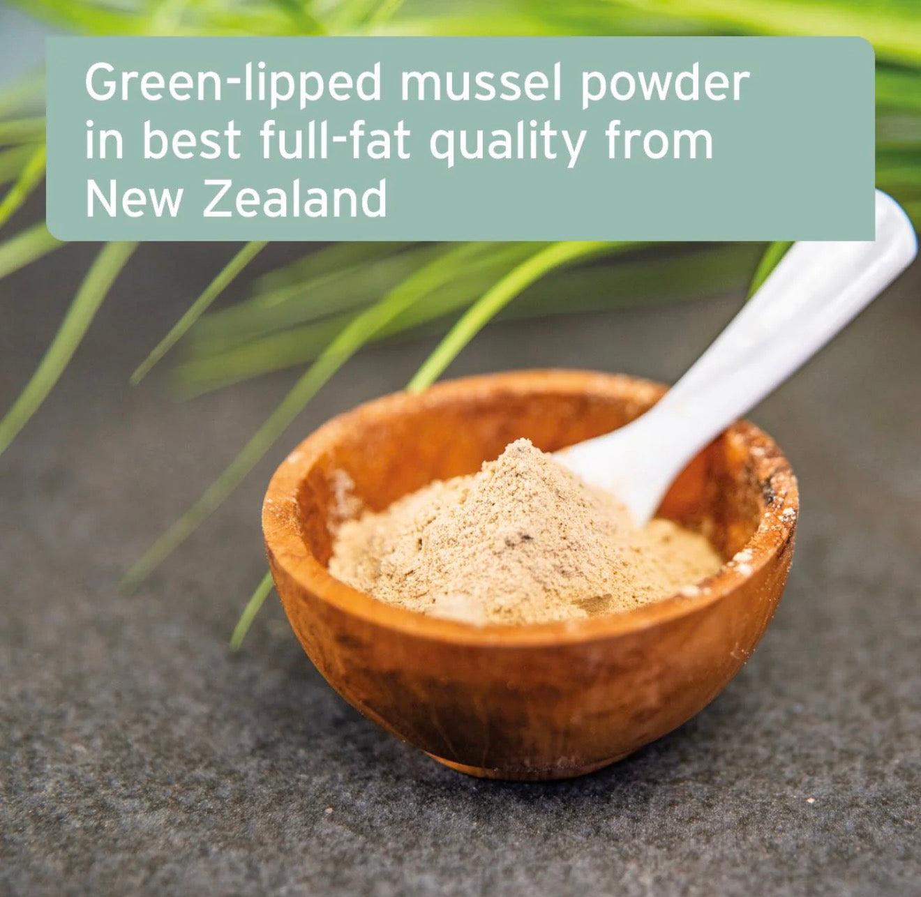 AniForte® Green Lipped Mussel Powder for Dogs and Cats - 100g – product image 2 from Woofingtons
