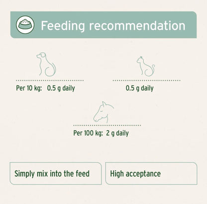 AniForte® Green Lipped Mussel Powder for Dogs and Cats - 100g – product image 3 from Woofingtons