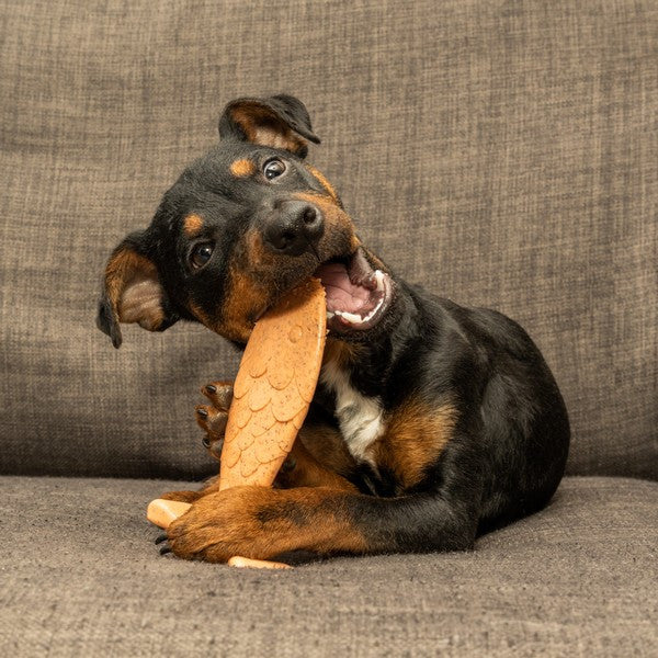 Bamboodles Fish Chew - Puppy and Moderate Chewers – product image 3 from Woofingtons