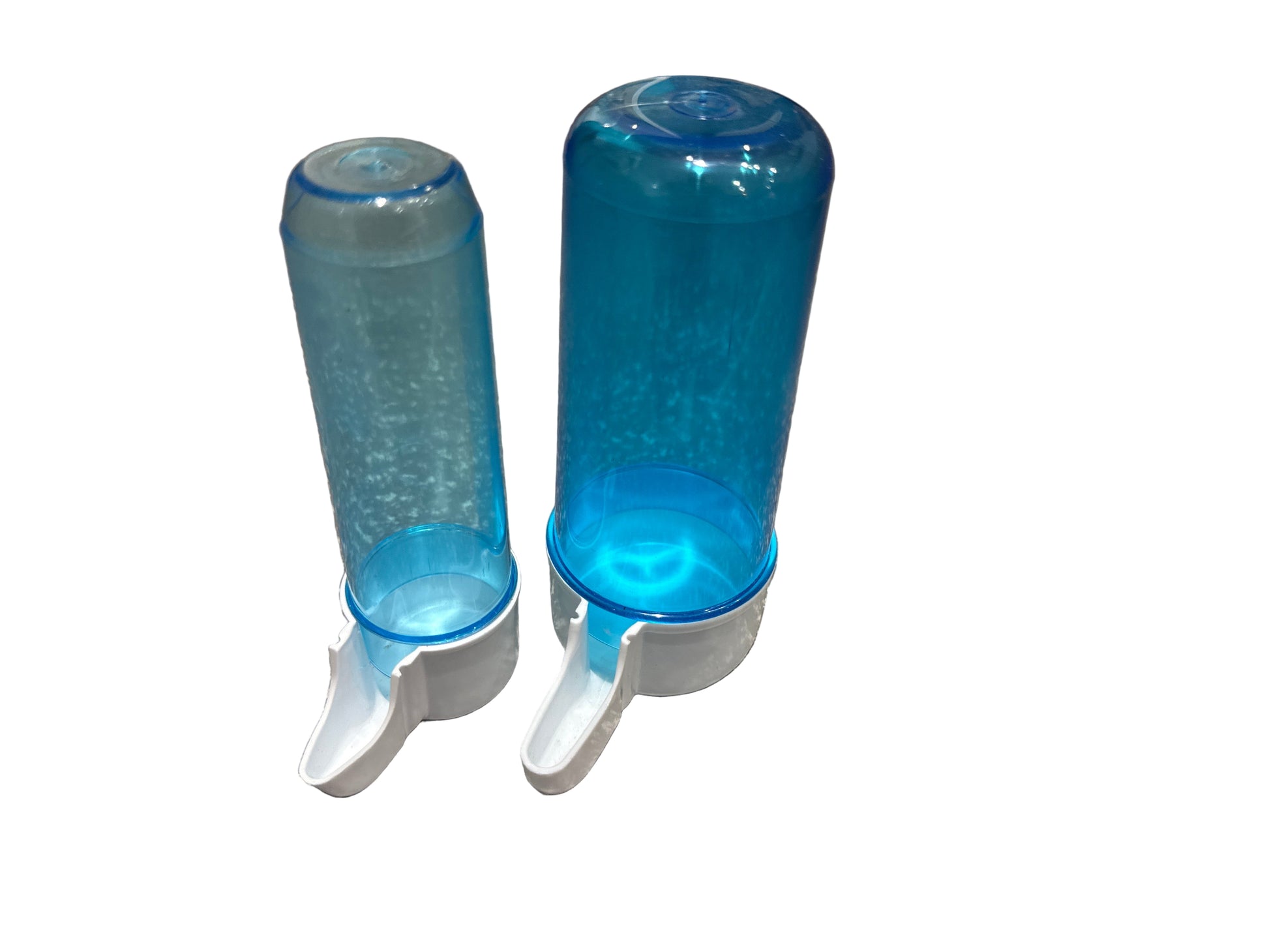 Bird water drinker – available from Woofingtons