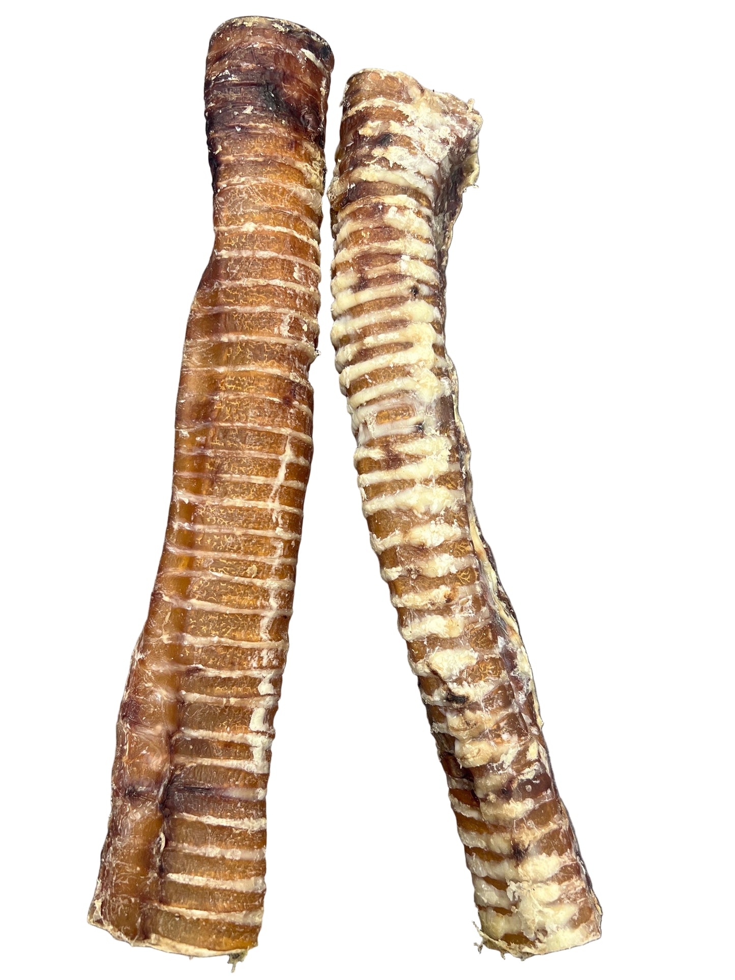 Buffalo Trachea 24cm - 35cm – available from Woofingtons