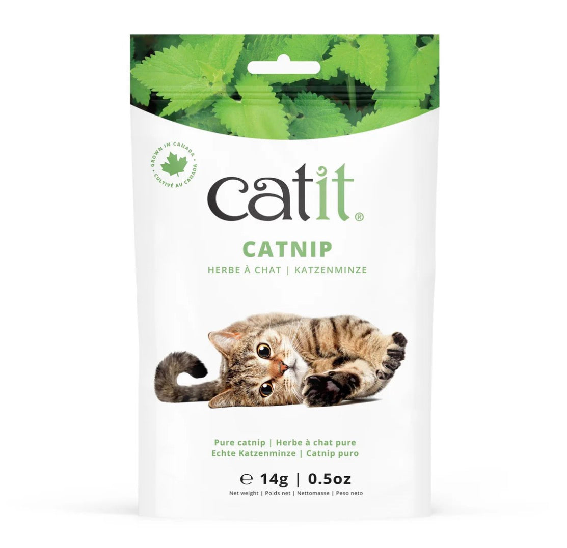 Catit Catnip Bag – available from Woofingtons