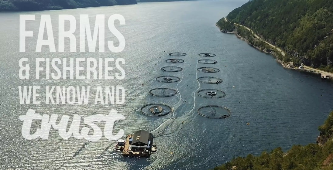 Meadow Farm - Puppy Super Blend Grain Free image 7