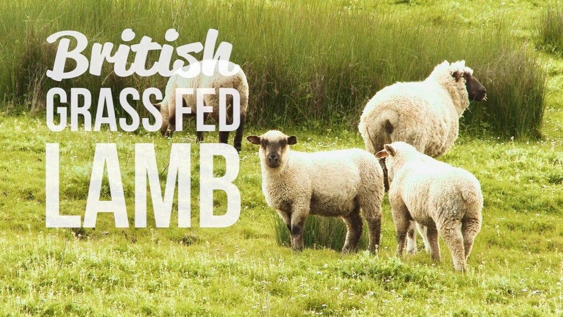 Meadow Farm - British Lamb Super Blend Grain Free - Adult dog Food image 4