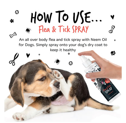 Bugalugs - Flea & Tick Spray with Neem Oil for Dogs & Cats 200ml image 3