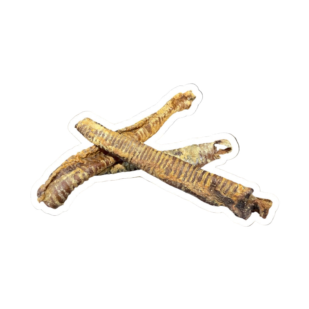 Goat Tube - Trachea  image 0